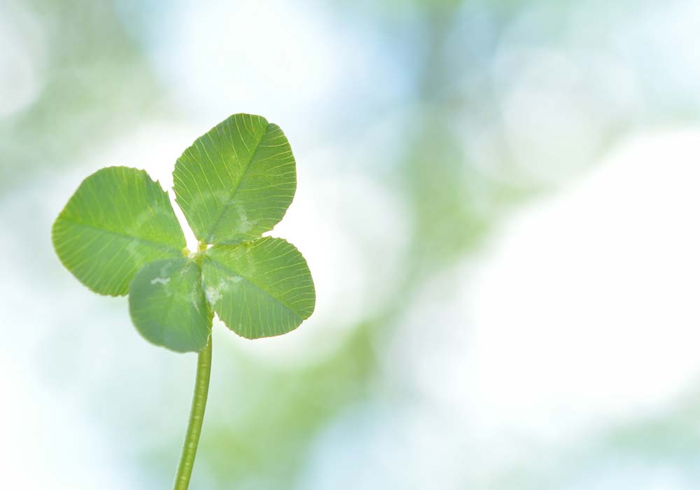 重症心身障がいのお子さまも診療いたします